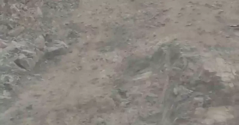 Diyarbakır’da nesli tükenme tehlikesi altında bulunan dağ keçileri sürü halinde görüntülendi