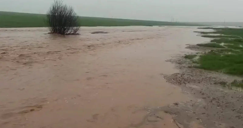 Mardin de Sağanak Yağış Zararları