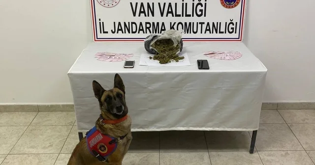 Mezarlık yakınında 1 kilo skunk ele geçirildi Van Haberleri