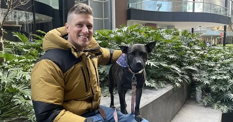 ChatGPT yardımıyla köpeğine özel kanser aşısı geliştirdi: Tümör yüzde 75 küçüldü