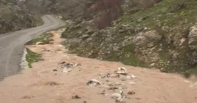 Silvan da sağanak taşkınlara neden oldu Diyarbakır Haberleri