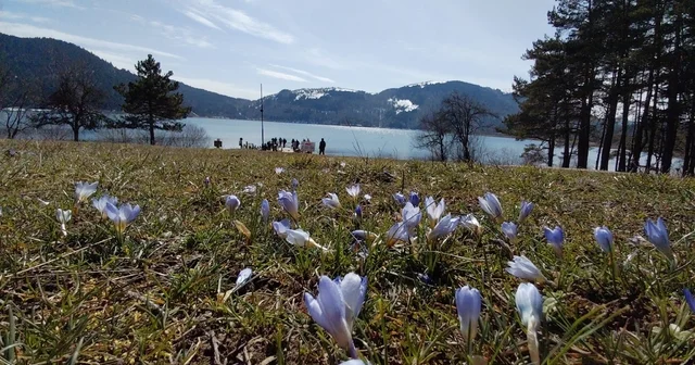 Abant ta karların ardından bahar manzarası Bolu Haberleri