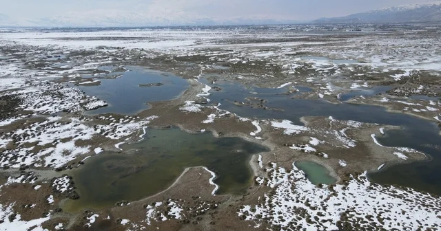 Ekşisu Kuş Cenneti nde doğa drone ile kaydedildi Şahinlerin avı, kuşların kaçışı: Ekşisu Kuş Cenneti nde doğa kamerada Erzincan Haberleri