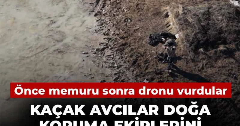 Kaçak avcılar doğa koruma ekiplerini kurşun yağmuruna tuttu! Önce memuru sonra dronu vurdular