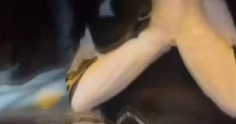 Fatih te Darp Olayı: 3 Çocuk Gözaltında