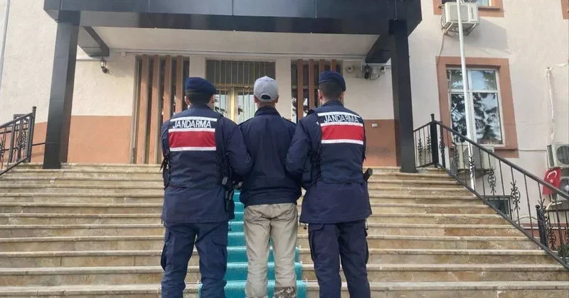 Kendisine saldıran köpeklerin sahibini vuran 17 yaşındaki şüpheli tutuklandı