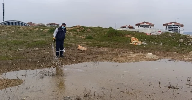 Edirne den kısa kısa Edirne Haberleri