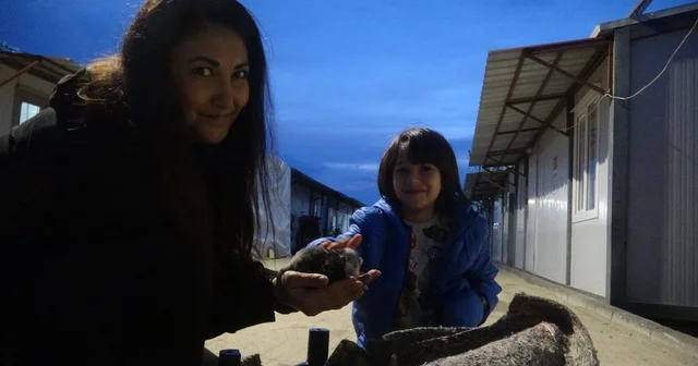 Su kanalında doğum yapan kedi ve 3 yavrusunun yeni yuvası depremzede ailenin konteyneri oldu Hatay Haberleri