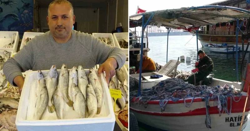 Akdeniz’de av yasağının başlayacağı tarih belli oldu Hayat Haberleri