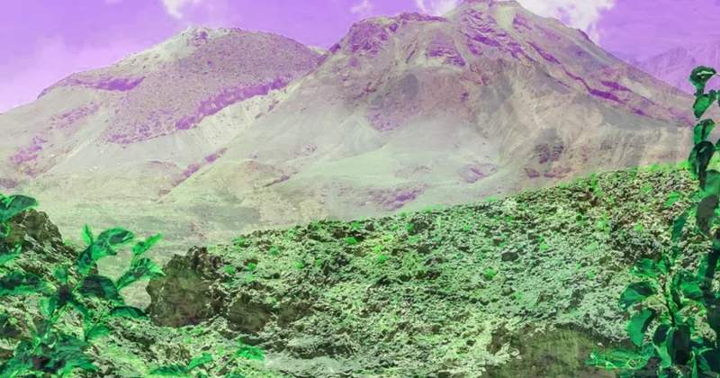 Uyanmaz denilen 700.000 bin yıllık dev uyandı Sözcü Gazetesi