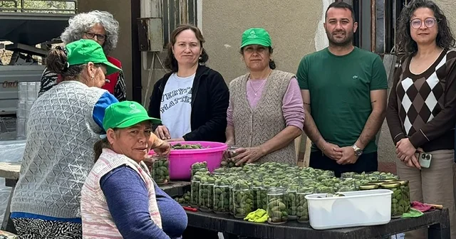 Çağla turşusundan kadın üreticilere ekonomik katkı Muğla Haberleri