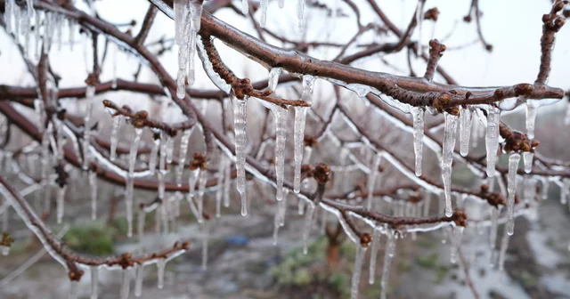 Elma üreticisi, zirai dona karşı Spring yöntemini uyguladı Kayseri Haberleri