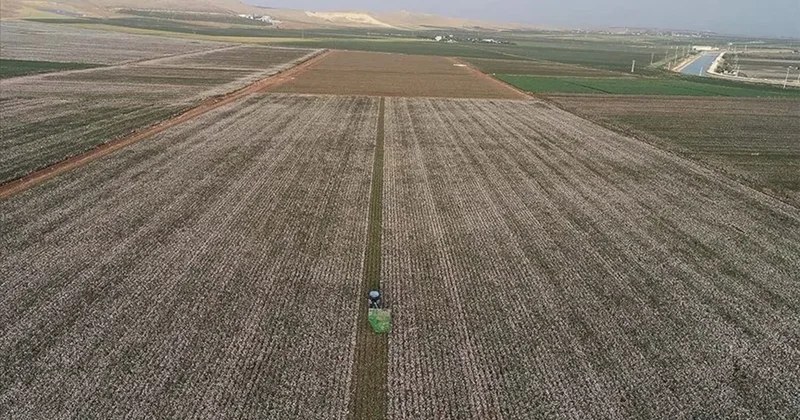 Savaş o ürünün de fiyatlarını yükseltti... Kimsenin aklına gelmemişti