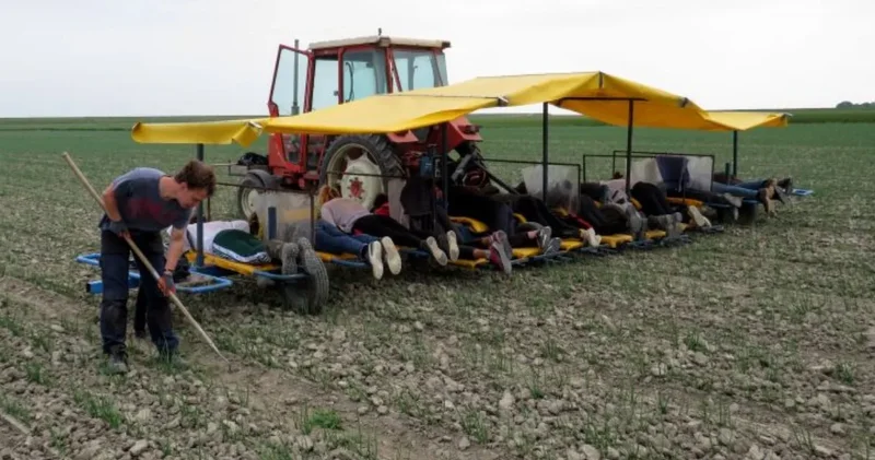 Eskiden belleri bükülürdü! Şimdi yatarak para kazanıyorlar