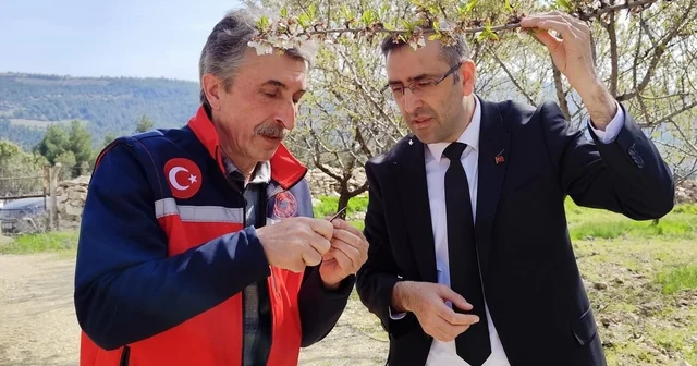 Uşak İl Tarım ve Orman Müdürlüğü ekipleri üreticiyle bir araya geldi Uşak Haberleri