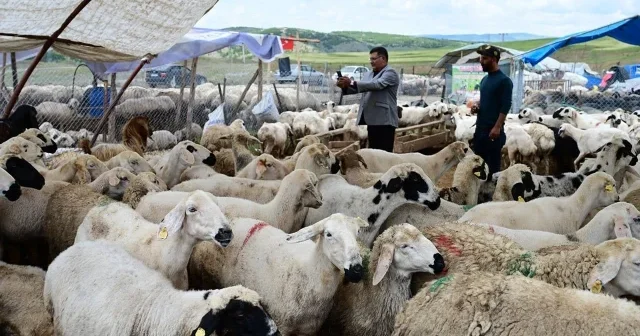 Bayram öncesi fırsatçılara dikkat: Uzman isim IBAN ile ucuz kurban dolandırıcılığını anlattı VİDEO İZLE