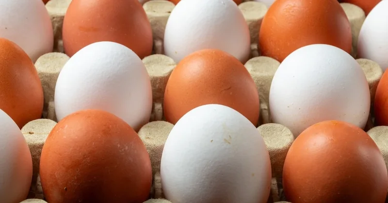 Marketten yumurta alan herkese çağrı yapıldı: En sağlıklısı buymuş Sözcü Gazetesi