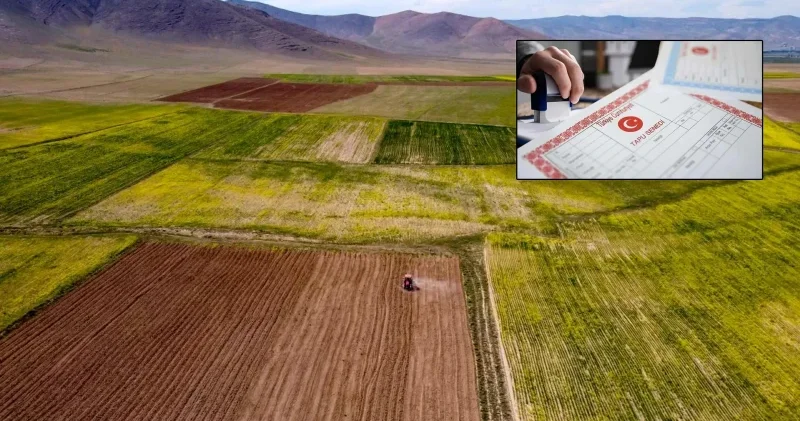 Doğu dan arazi alan kazandı: Yıllık primler yüzde 75’e kadar yükseldi Aktüel Haberleri