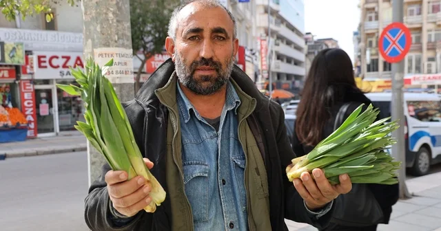 Dağlardan toplanan doğal antibiyotik, tezgahlarda yerini aldı Yılda iki defa hasat edilen çiriş otu kendiliğinden yetişiyor Elazığ Haberleri