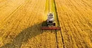 TÜİK: Tarım üretici fiyatları martta arttı