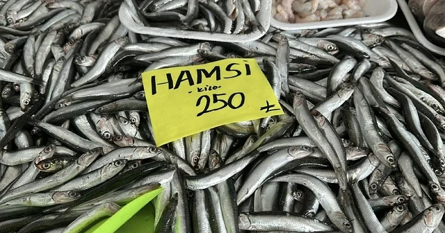 Balıkta hızlı avcılık pek çok sıkıntıyı beraberinde getirdi Çanakkale Haberleri