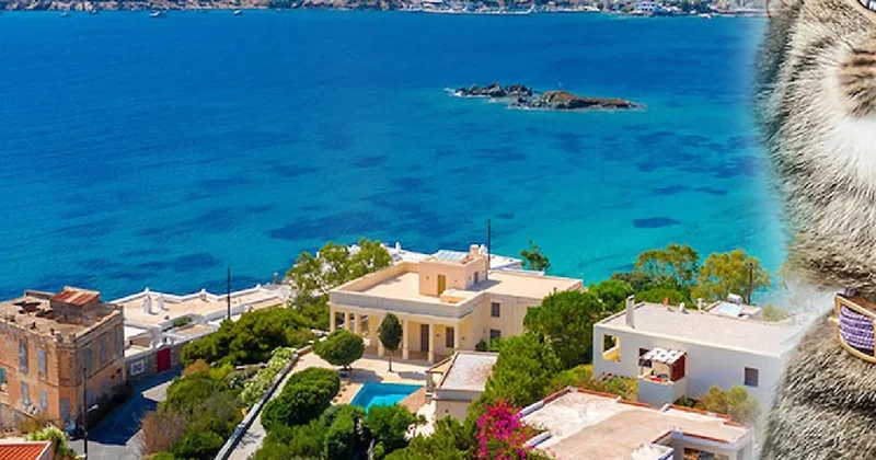 Bu adaya taşınana bedava yaşama imkanı: Tek bir şartı var Sözcü Gazetesi