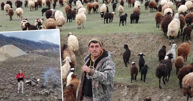 Erzurumlu çoban, sürüsünü toplamak için bakın ne yaptı: Şimdi kartal gibi gözlerimle kontrol ediyorum