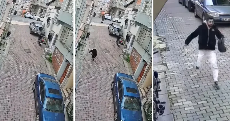 Yer: İstanbul... Örümcek Adam mahalleyi ayağa kaldırdı Sözcü Gazetesi