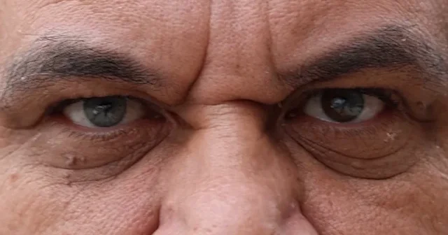 Kahramanmaraş’ta üç renkli gözleriyle dikkat çekiyor VİDEO İZLE