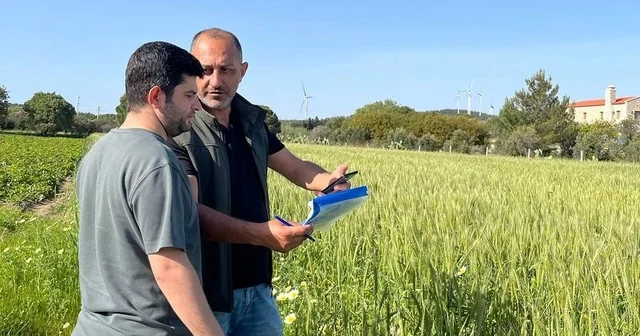 Datça da tarım arazilerinde üretim planlaması kontrolleri yapıldı Muğla Haberleri