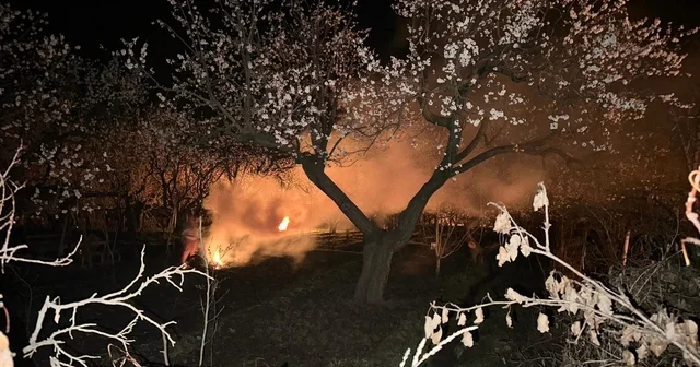 Kayısı bahçelerini ateş ve dumanla donmaya karşı koruyorlar Kars Haberleri