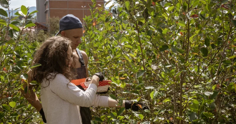 Polonya nın hazinesi artık Türiye de: İki ilde üretim üssü kuruldu Sözcü Gazetesi