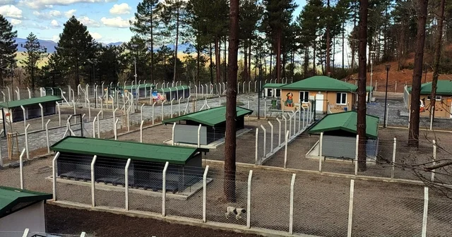 Ünye de sahipsiz hayvanlar için örnek tesis tamamlanıyor Ordu Haberleri