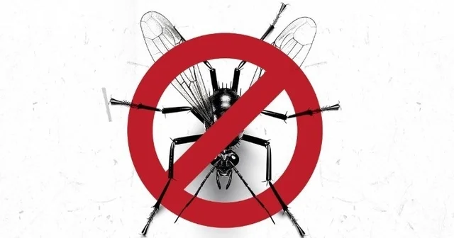 Kuşadası Belediyesi nden Vektörle mücadele açıklaması Mahkeme vektörle mücadele yetkisinin Büyükşehir Belediyesi nde olduğunu hükmetti Aydın Haberleri