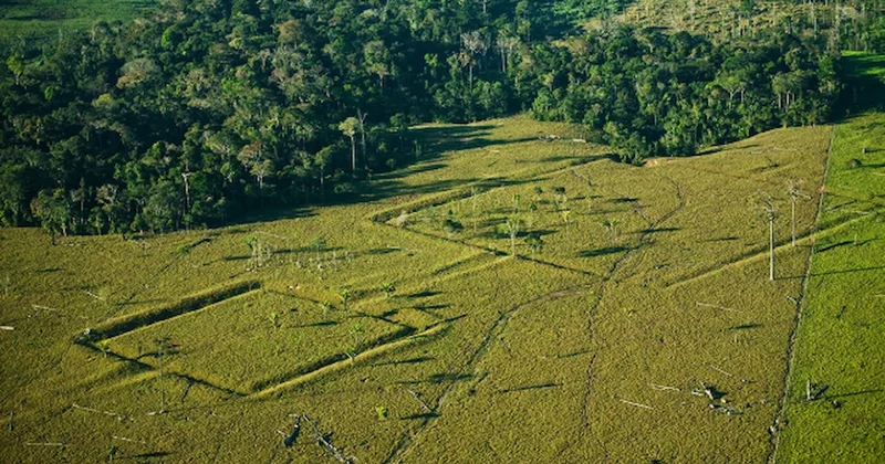 Uzmanlar Z şehrini buldu: Yıllardır efsane sanılıyordu Sözcü Gazetesi