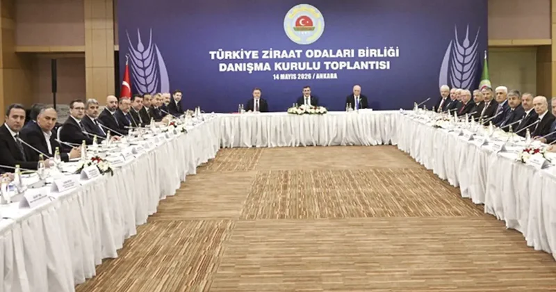 ‘Tarımsal üretim bu sene toparlanacak’