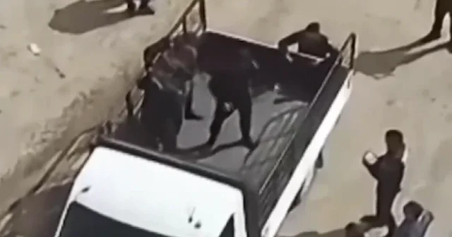 4 yıldır aranan cinayet zanlısı dron destekli operasyonla yakalandı VİDEO İZLE