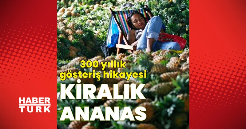 İnsanlar ananas kiralıyordu! 300 yıllık bir gösteriş hikayesi: Bir dönem ananas sahibi olmak statü belirtisiydi!