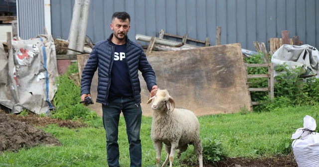 Bolu daki kurban pazarlarında hareketlilik başladı Bolu Haberleri