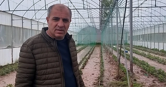 Sivas ta dere taştı: Sera ve bahçeler sular altında kaldı Sivas Haberleri