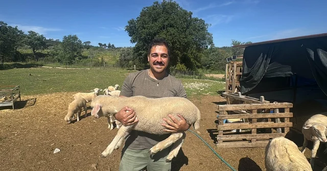 Şehir hayatını bırakıp kırsala yerleşti, hayvancılığa başladı Muğla Haberleri