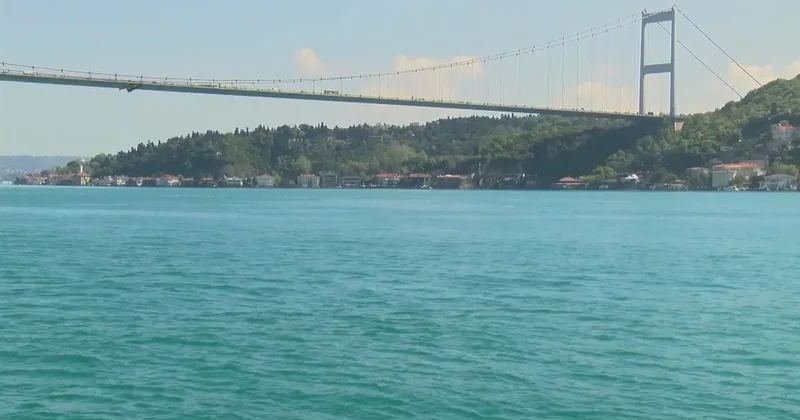 İstanbul Boğazı nda yunus sürprizi