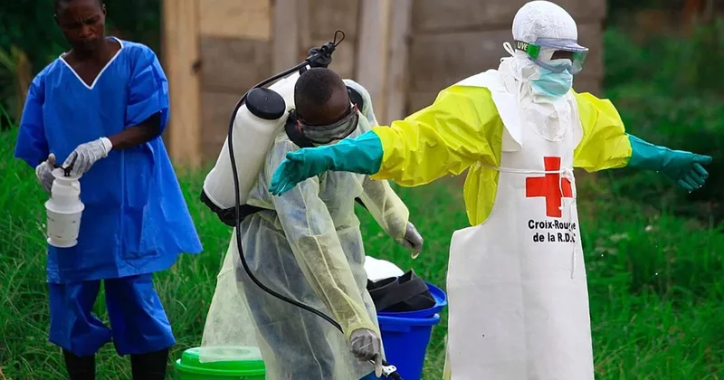 KDC de Ebola Salgını Tespit Edildi