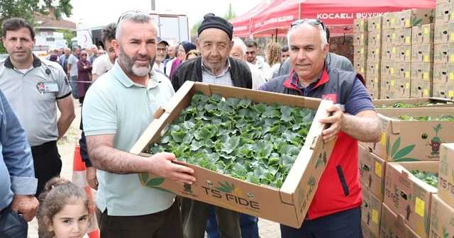 Gebzeli çiftçiye 500 bin sebze fidesi desteği Kocaeli de 290 milyon liralık tarımsal üretim desteği verildi Kocaeli Haberleri