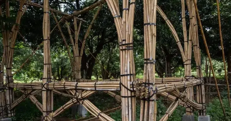 7,7 büyüklüğündeki deprem ders oldu: Beton yerine inşaatlarda bambu kullanacaklar Sözcü Gazetesi