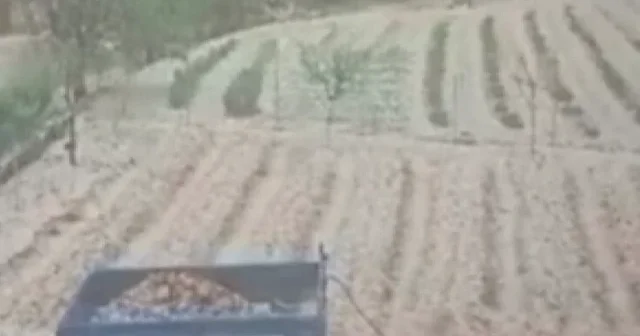 Bursa da ceviz büyüklüğünde dolu görenleri hayrete düşürdü: Kiraz bahçeleri yerle bir oldu VİDEO İZLE