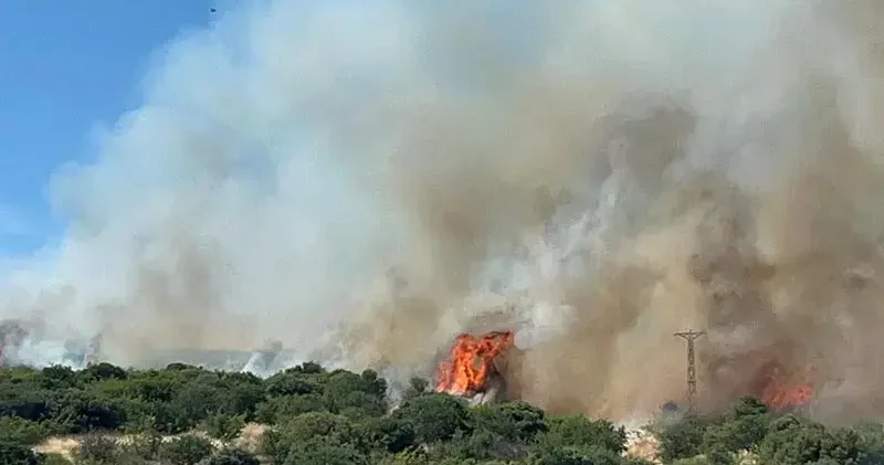 Çanakkale de bozuk ormanda yangın