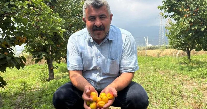 Orange Ruby Kayısıda Başarı Hikayesi