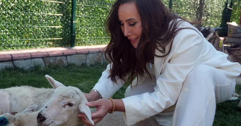 Asena, ağabeyim dediği insanla aşk yaşamaya başladı