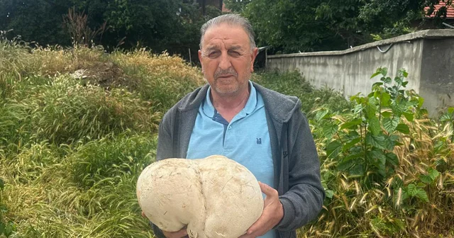 Bahçesinde 3,5 kiloluk mantar buldu Isparta Haberleri